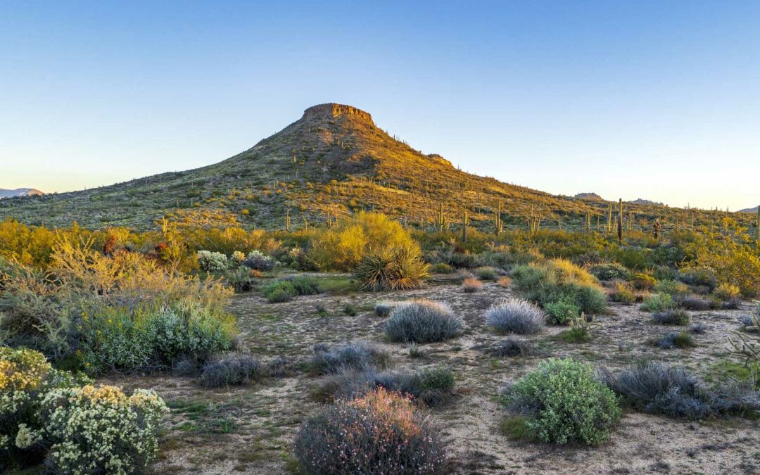 Top 10 des idées de cadeaux pour les passionnés de trail running